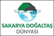 Sakarya Doğaltaş Dünyası